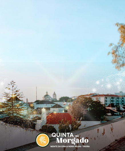 oferta-out-inver oferta-out-inver